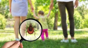 Kırım Kongo Kanamalı Ateşi: İşyerinde Korunma ve İSG Önlemleri