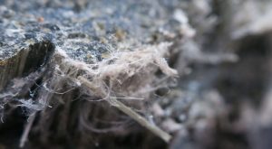 Asbest Nedir? Türleri, Sağlık Tehlikeleri ve Korunma Yöntemleri